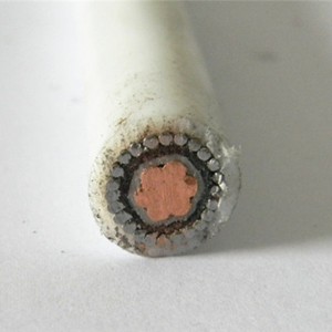 Laagspanning 35 mm Single Core Cable Xlpe Isolatie voor de bouw
